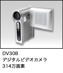 �f�W�^���r�f�I�J�����@dv308